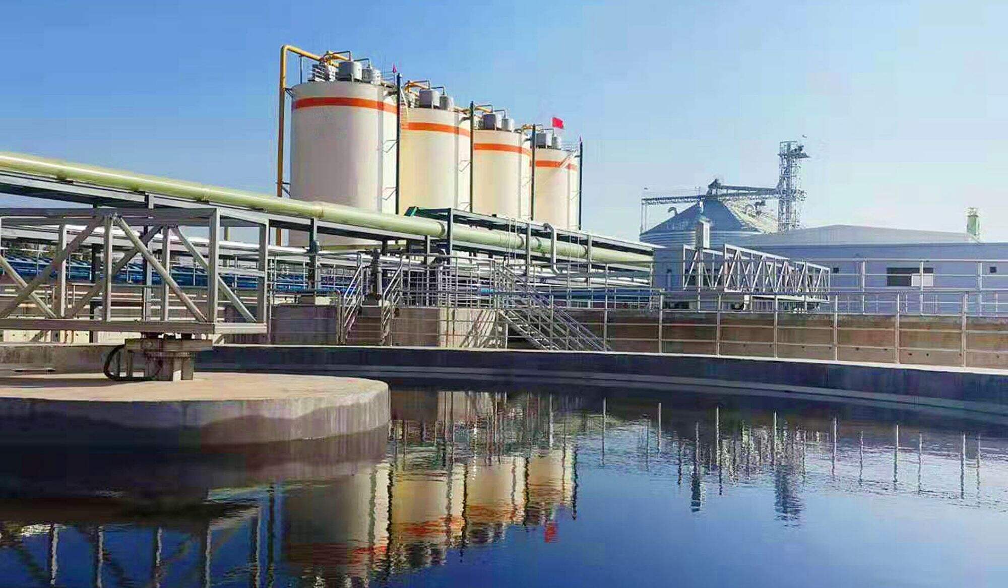 Enterprising spirit, Honesty and trustworthy, Win-win cooperation